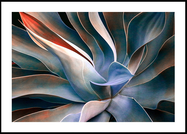 Värvid lehtedes Plakat