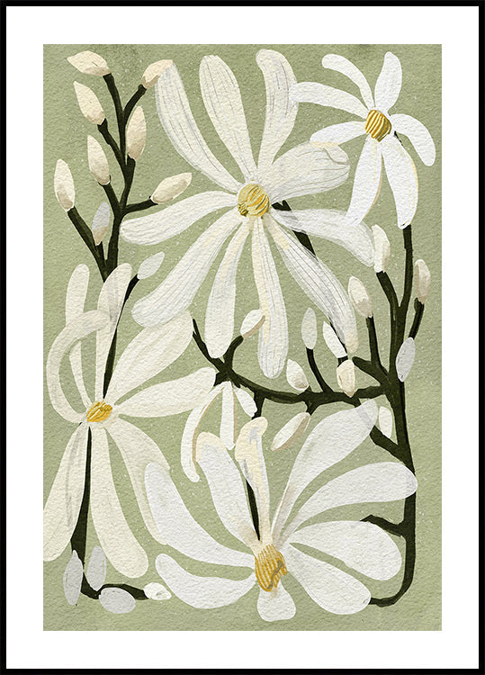 Star Magnolia Blummen op Sage Hannergrond Poster