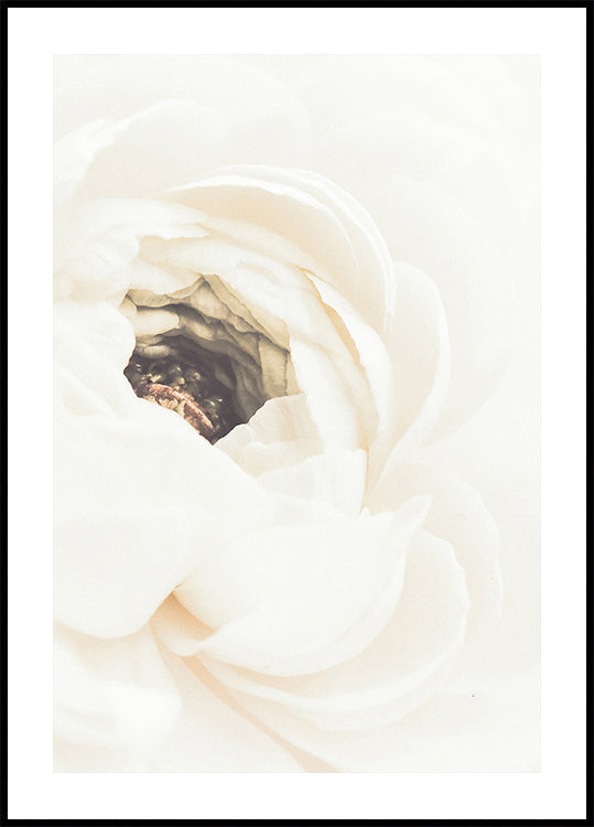White Blummen No.1 Affiche