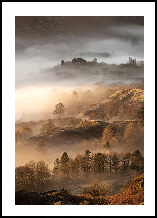 Wonderful Autumn Morning Plakat - Posterbox.dk
