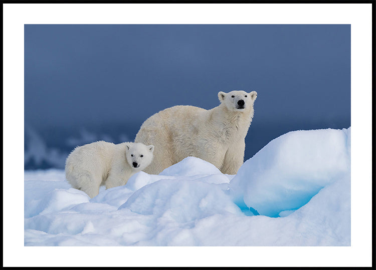 Anya és baba poszter