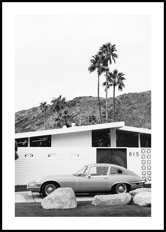 Palm Springsi sõidu II plakat