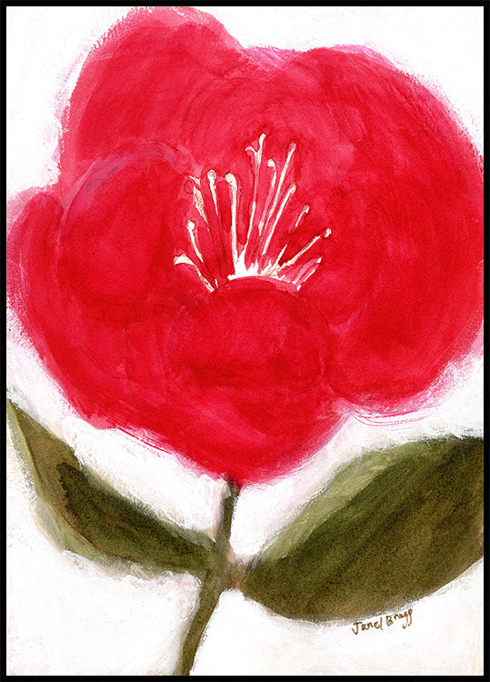 Ziedu sarkanā krāsā uz Cierra plakāta