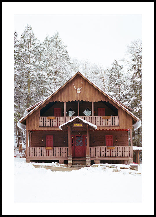 Ņujorkas štata Snow XI plakāts