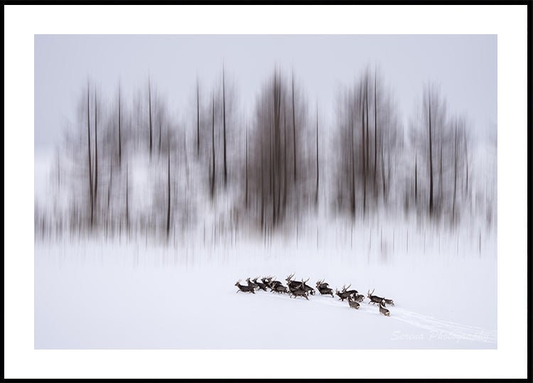 Ziema Hokaido plakāts