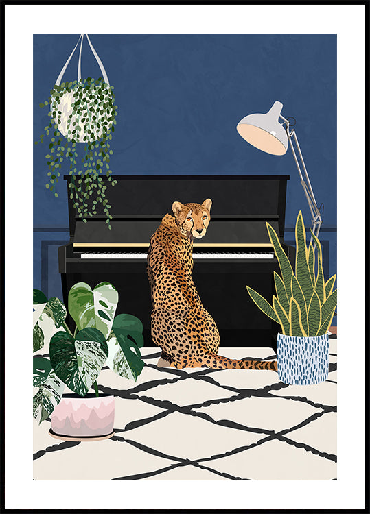 Gepard spillt Piano Poster