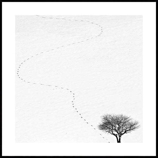 pēdas nospiedums Plakāti