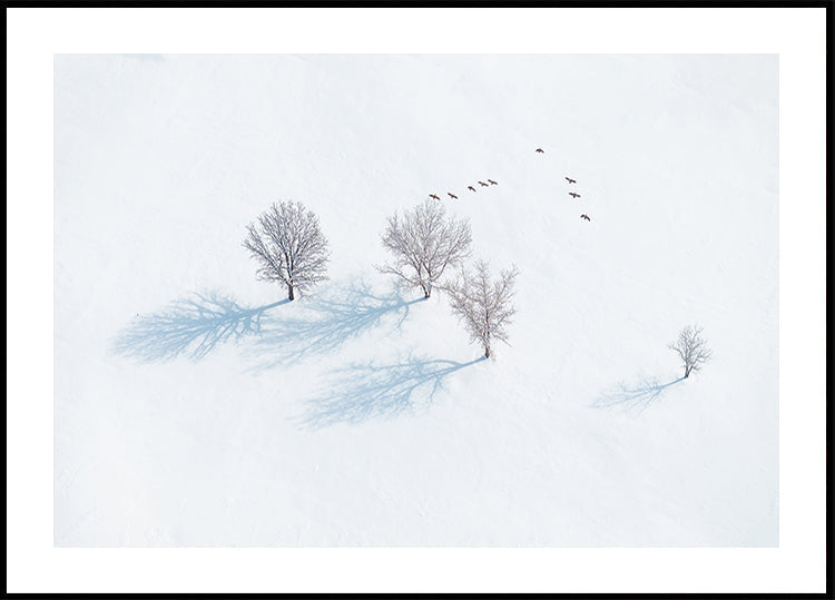 Poster copaci și păsări