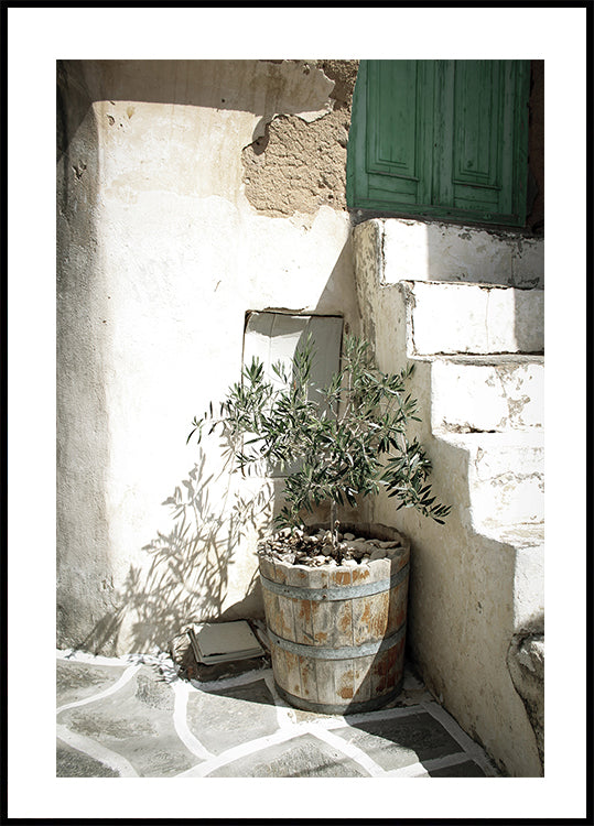 Charming Olive Tree in a Rustic Setting Plakat - Posterbox.dk