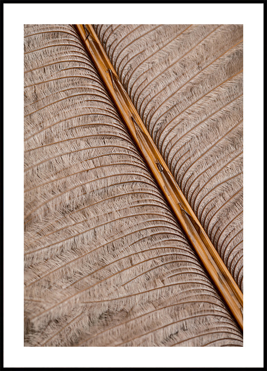Feather_007 Poster