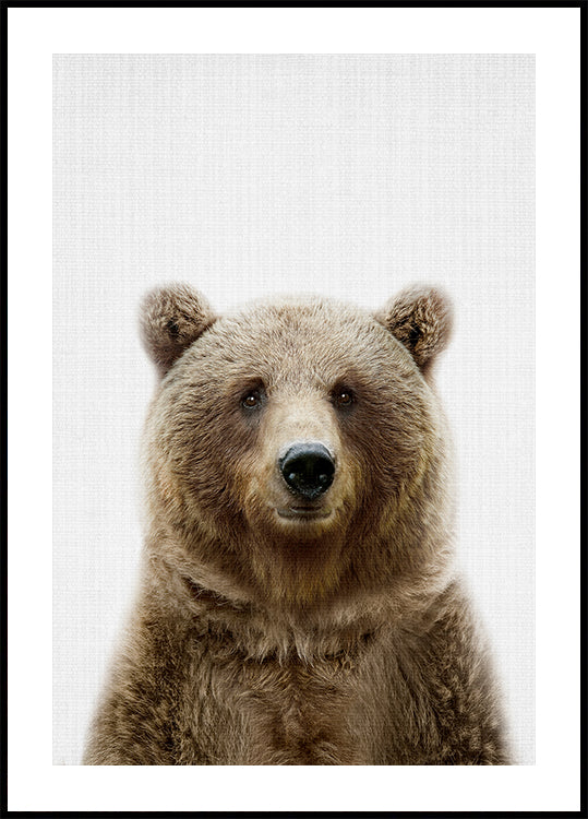 Peekaboo Bear plakat