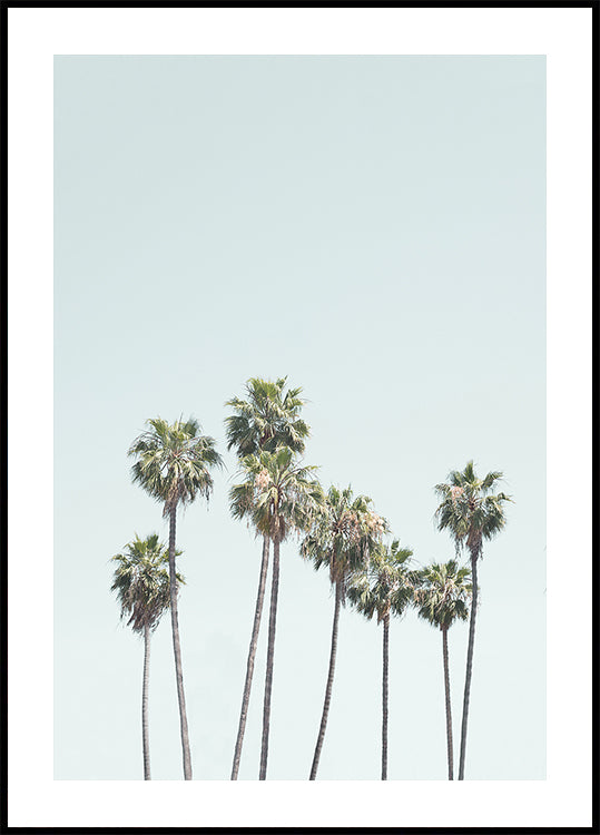 Blue Palm Trees (NEW)