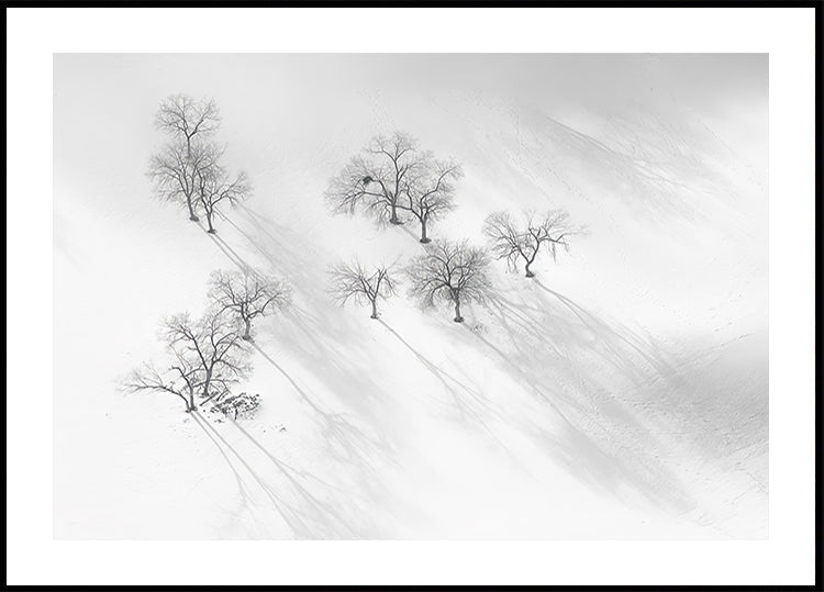 Winter dream - a still ballet Poster