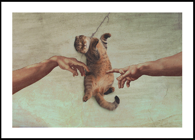 Kačiuko prisilietimas