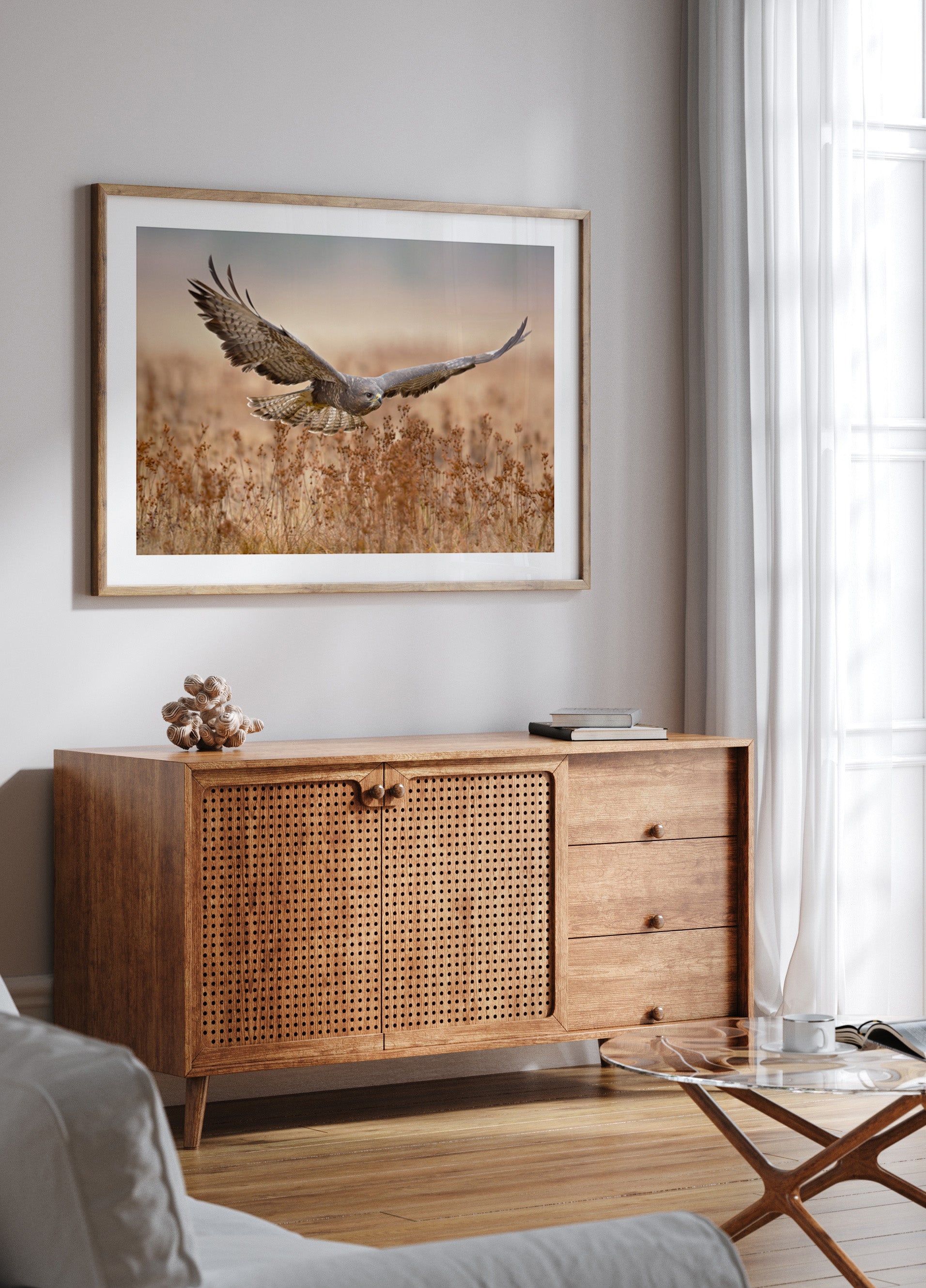 Majestic Hawk Am Fluch