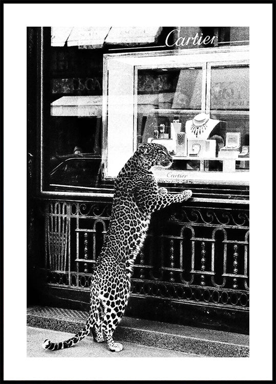 Panther in the Jewelry Shop Plakat - Posterbox.dk
