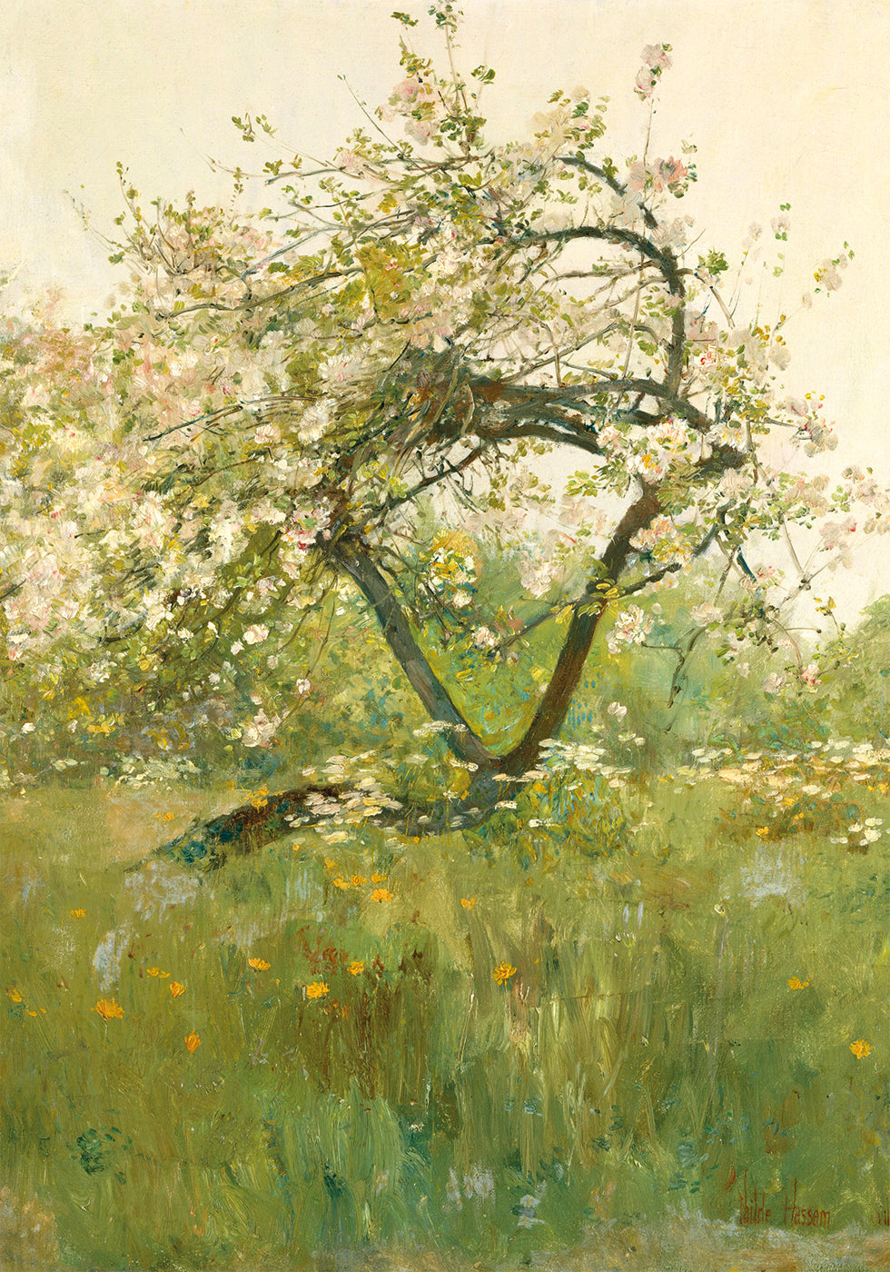 Peach Blossoms Villiers-le-Bel By Childe Hassam Plakat - Posterbox.dk
