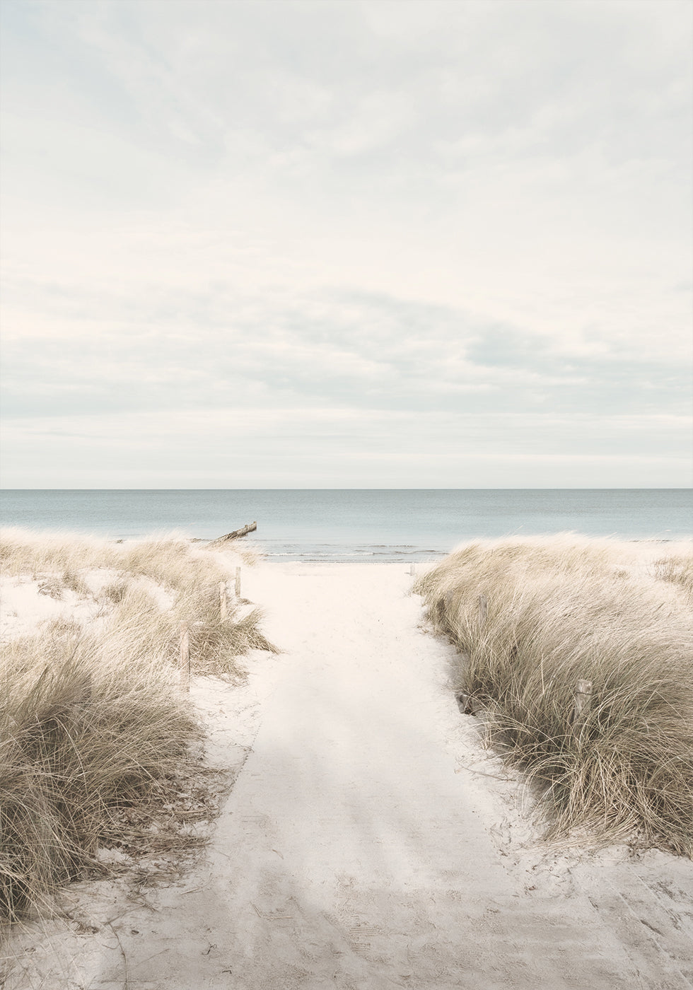 Sandy Path To The Sea Plakat - Posterbox.dk