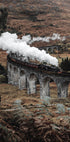 Steam Train Plakat - Posterbox.dk
