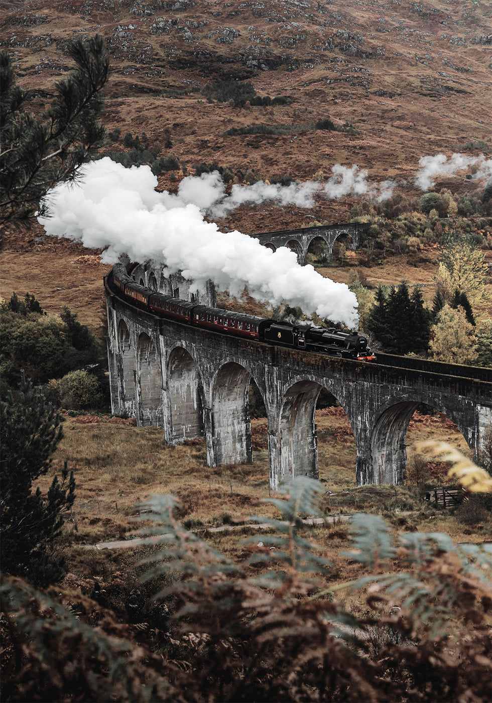 Steam Train Plakat - Posterbox.dk