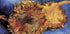 Sunflowers By Vincent van Gogh Plakat - Posterbox.dk