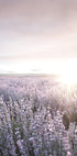 Sunset Over Lavender Fields Plakat - Posterbox.dk