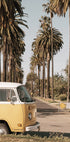 Vintage Yellow Van Among California Palm Trees Plakat - Posterbox.dk