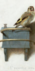 Vintage Bird Painting Plakat - Posterbox.dk