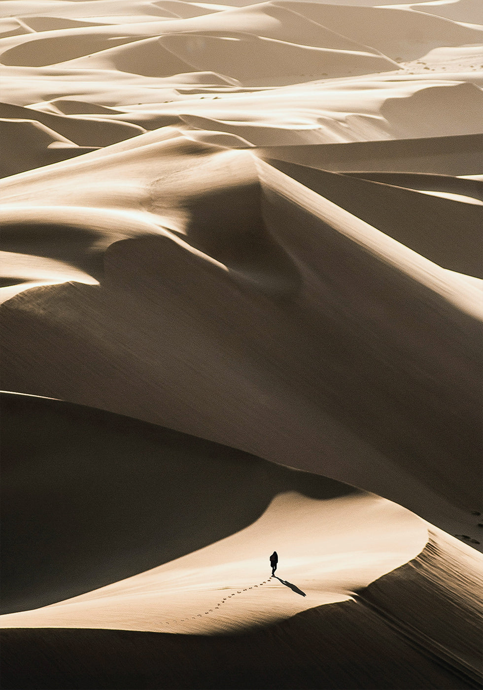 Walking In Desert Plakat - Posterbox.dk