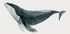 Watercolor Whale Plakat - Posterbox.dk