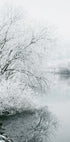 Winter Lake Plakat - Posterbox.dk