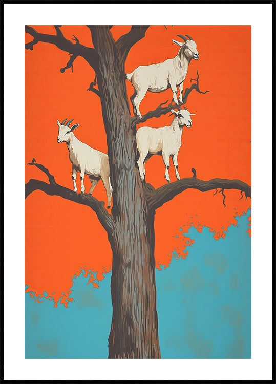 Goats In a Tree Plakat - Posterbox