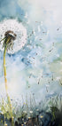 The Dandelion - Posterbox