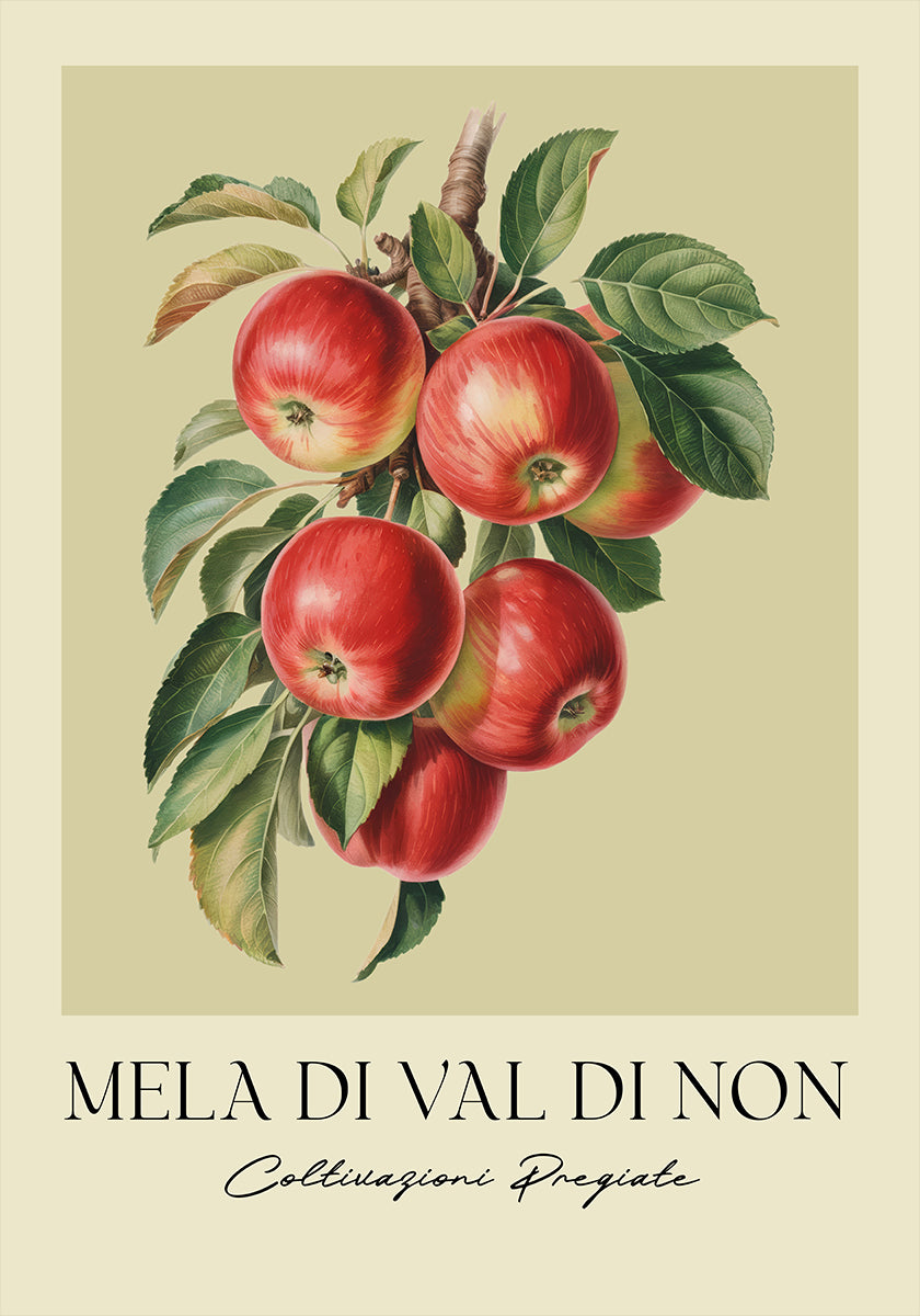 Mela Di Val Di Non (NEW) - Posterbox