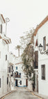 Charming Whitewashed Streetscape Plakat - Posterbox.dk