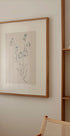 Bellflowers ink drawing Plakat - Posterbox