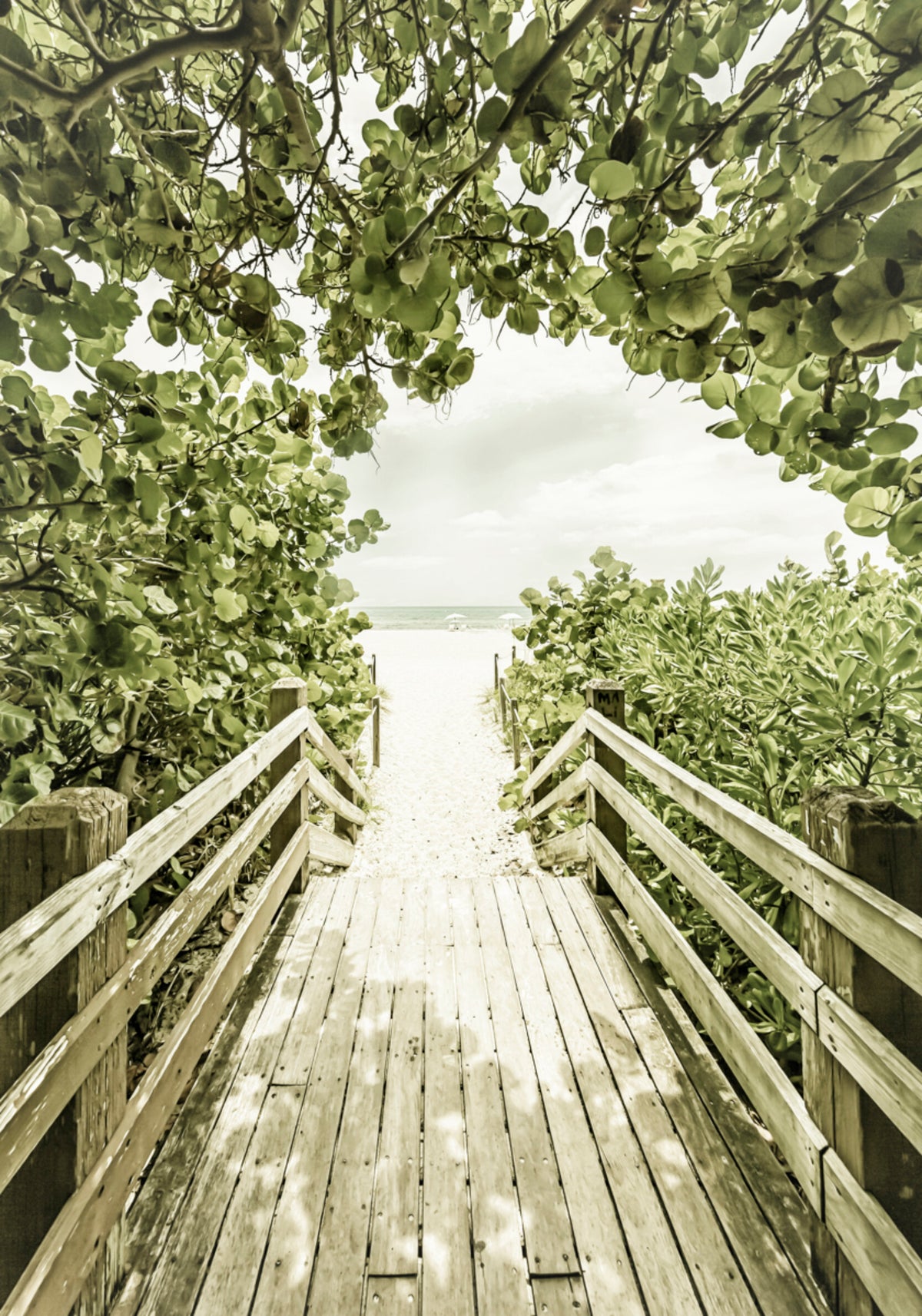 Tropical Beach Wee