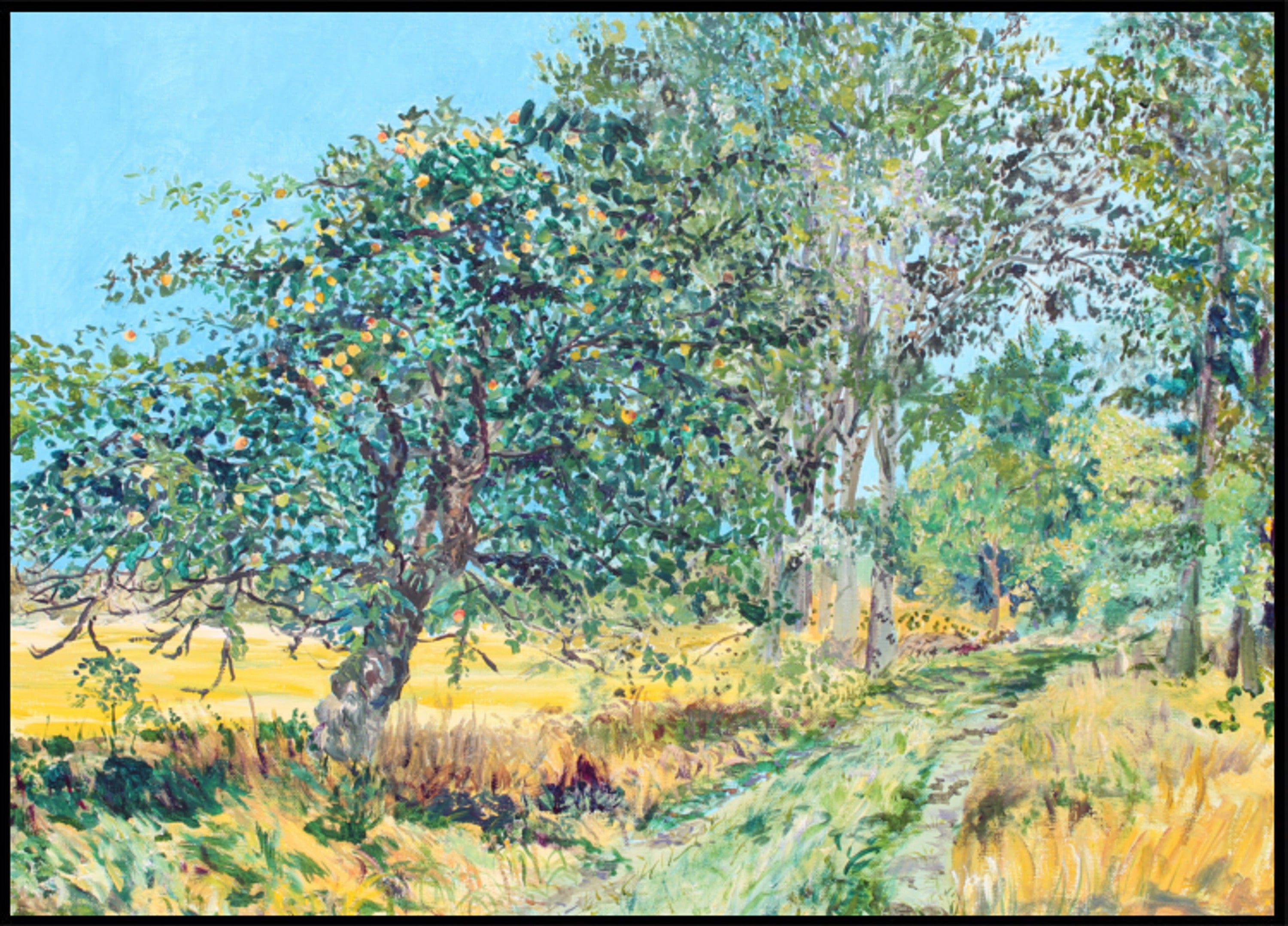 Sunny Orchard Path