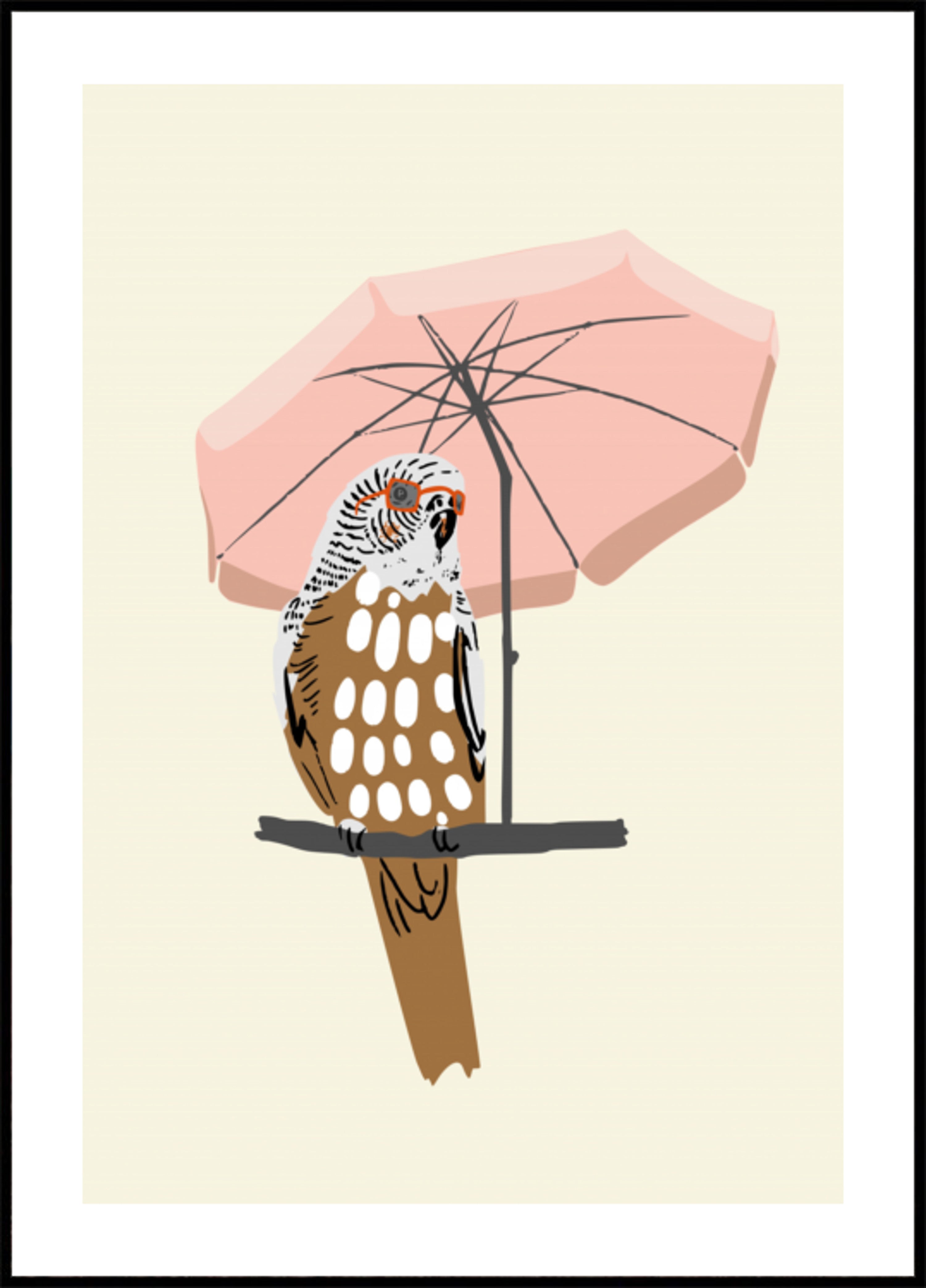 Parrot's Pink Umbrella