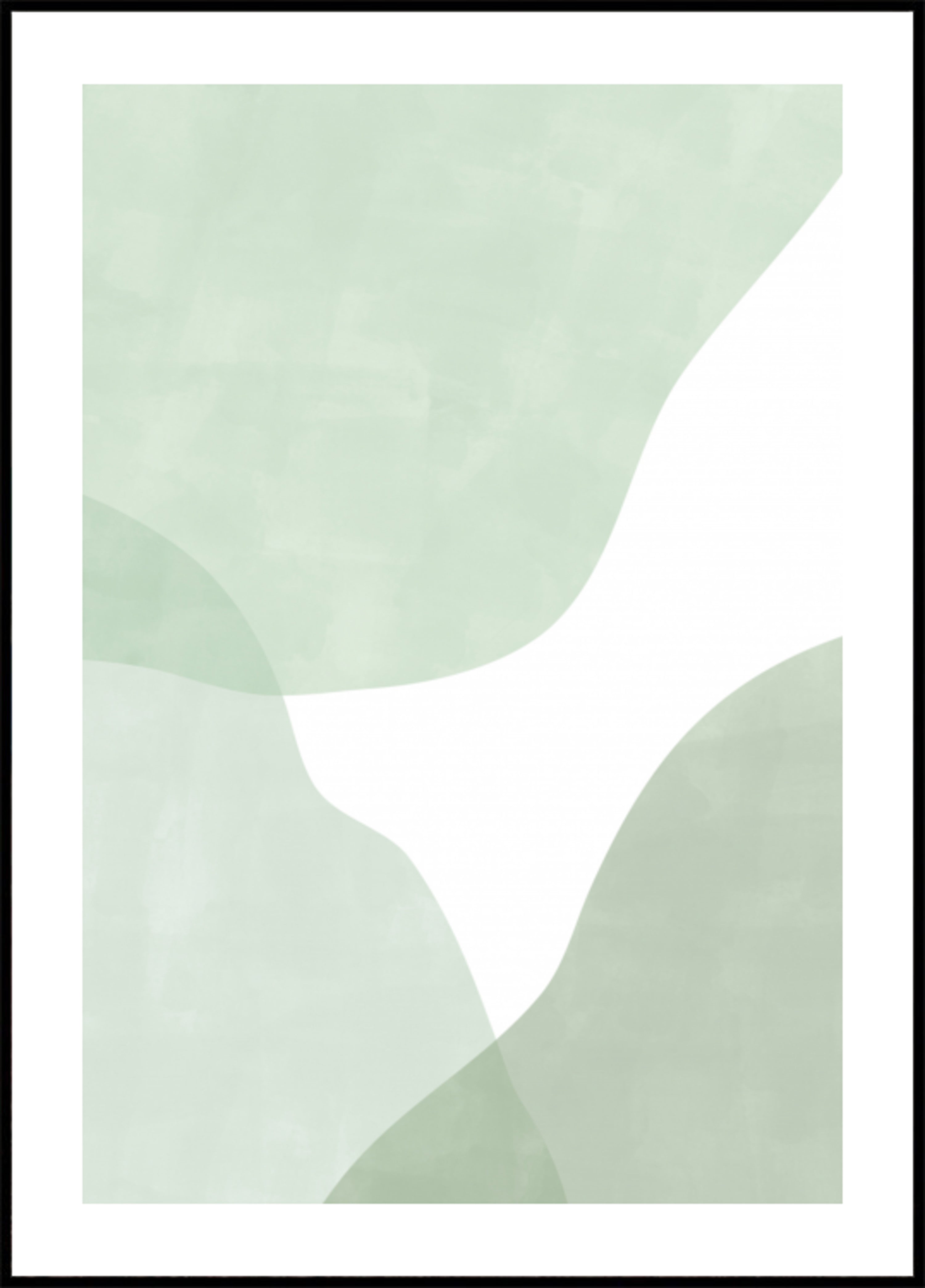 Mīkstās salvijas līknes