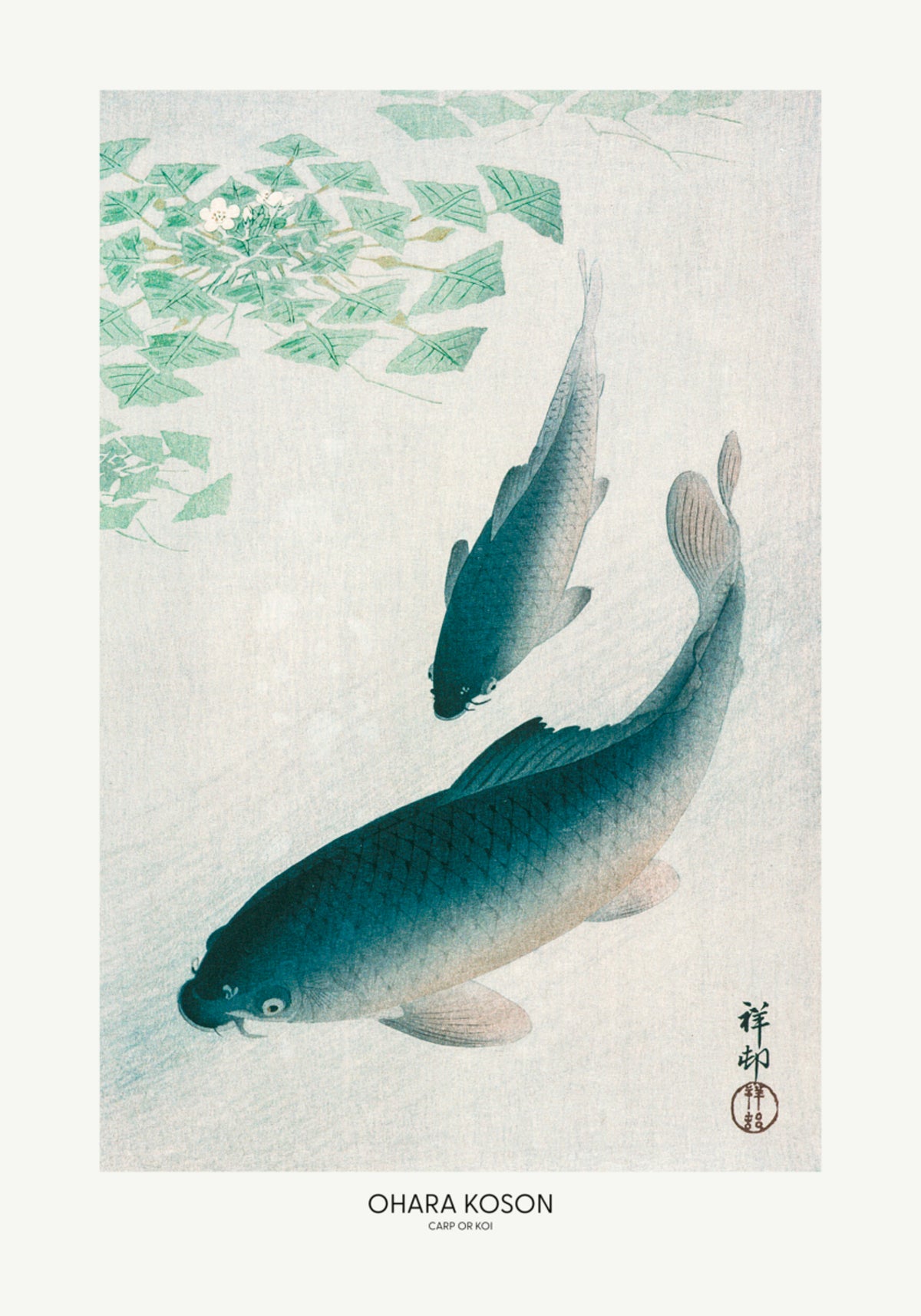 Karp oder Koi