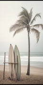 Serene Beach Surfboards