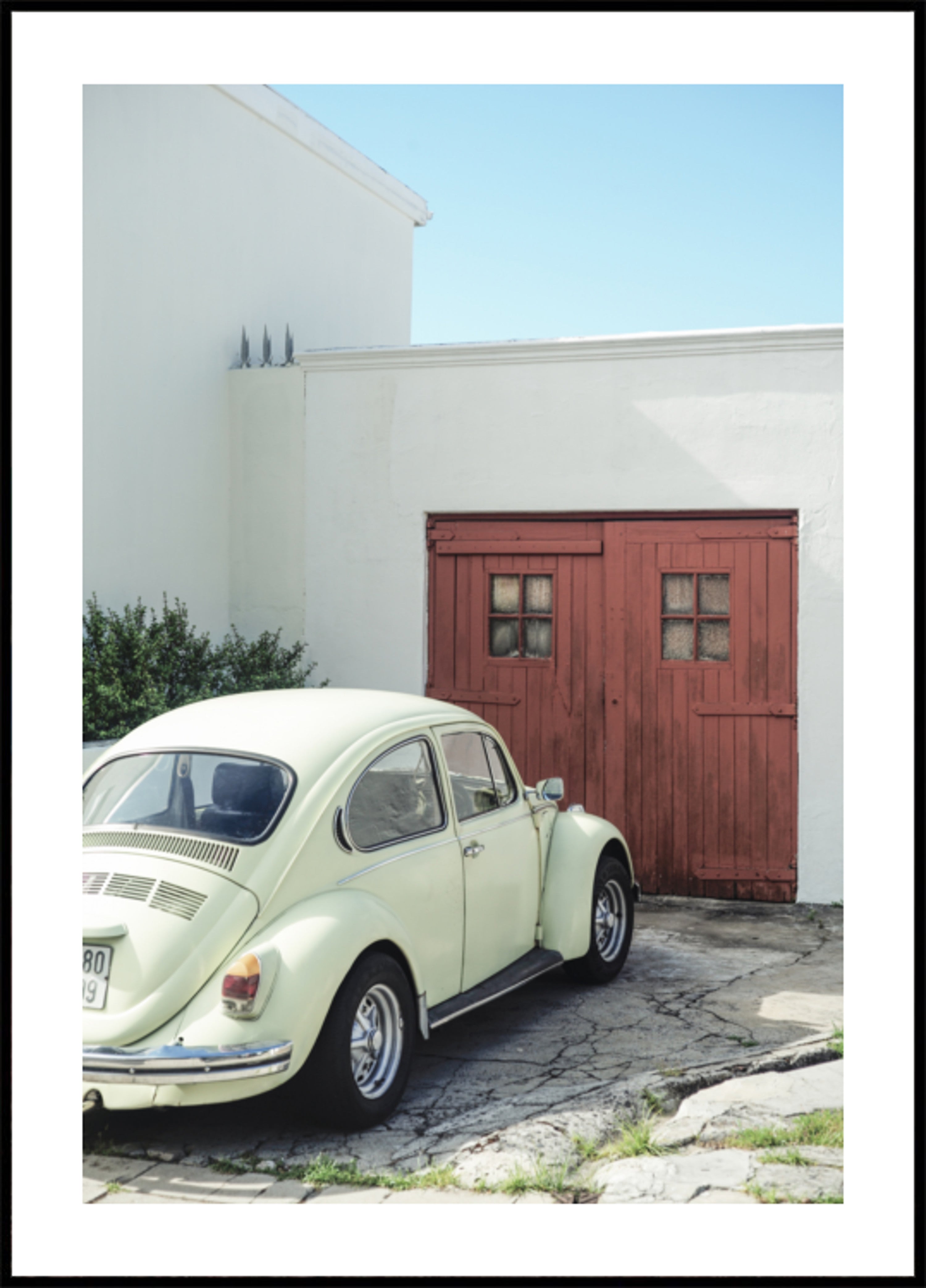 Vintage Beetle Red Dier