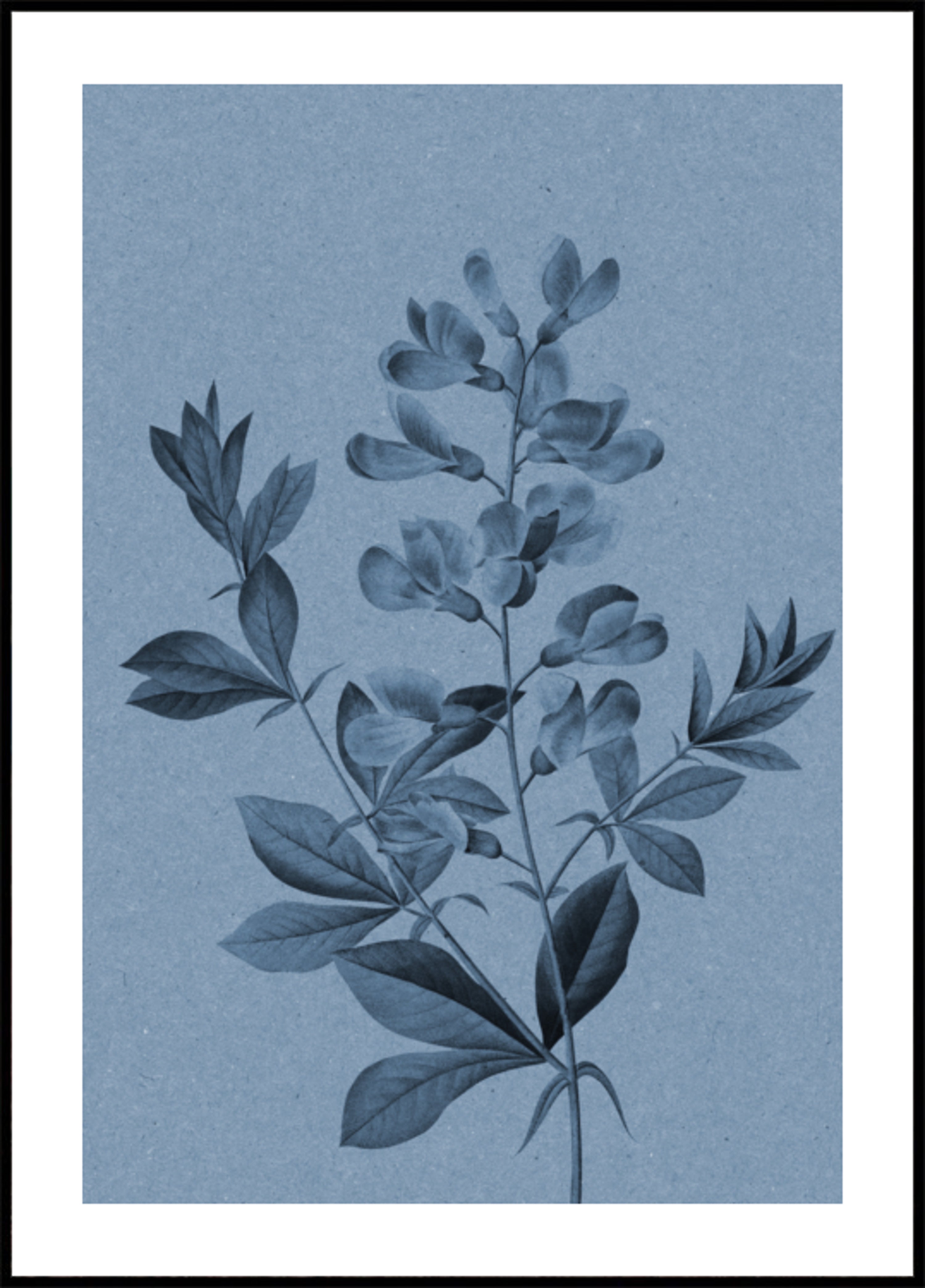 Elegant Blue Botanical