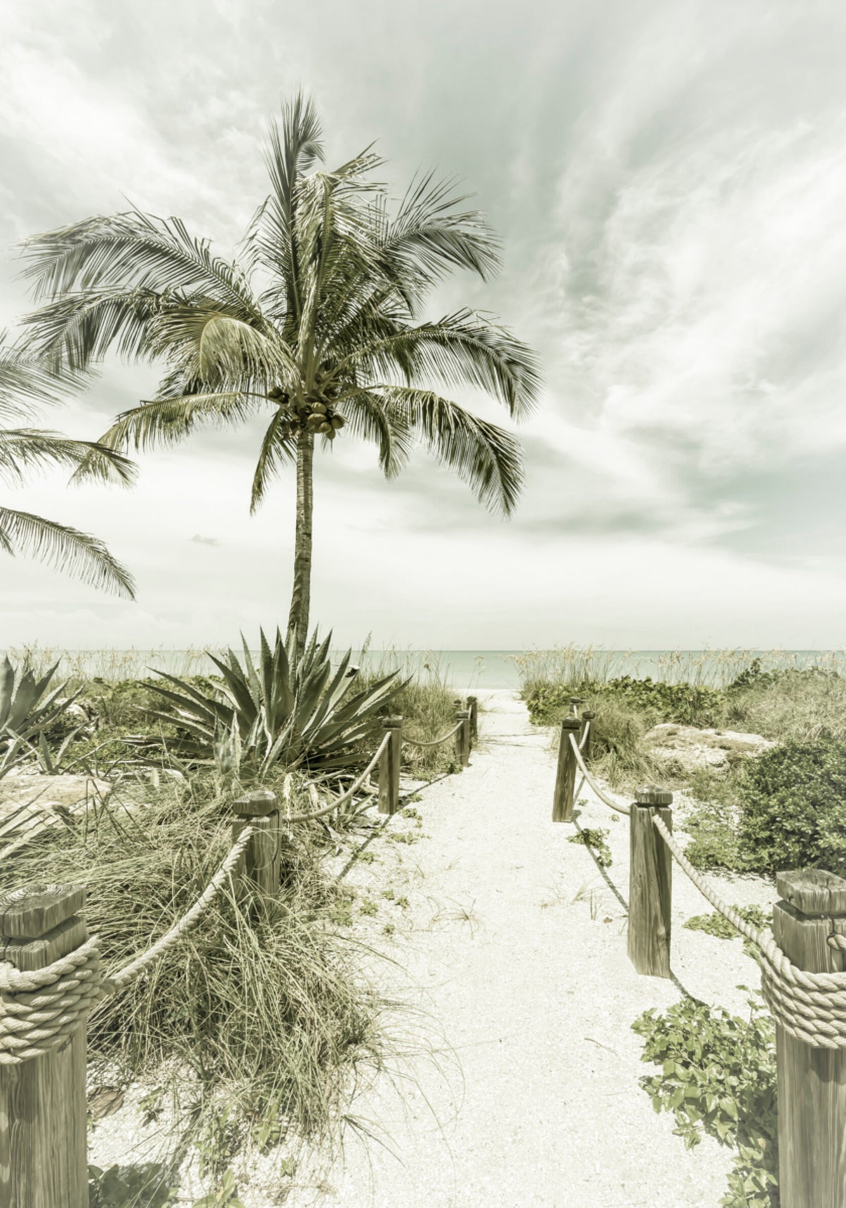 Tropical Beach Pathway