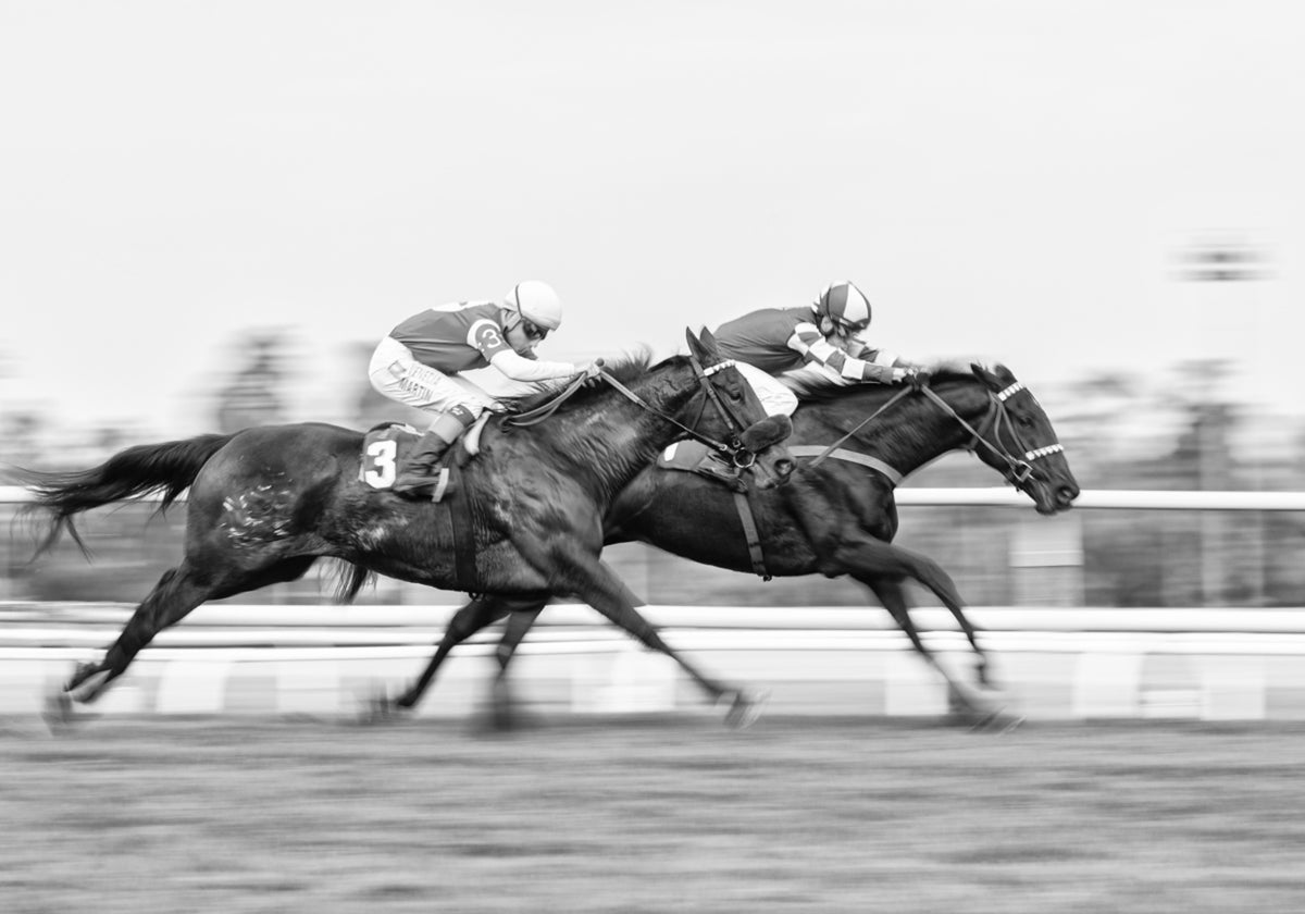 Dynamesch Horse Race