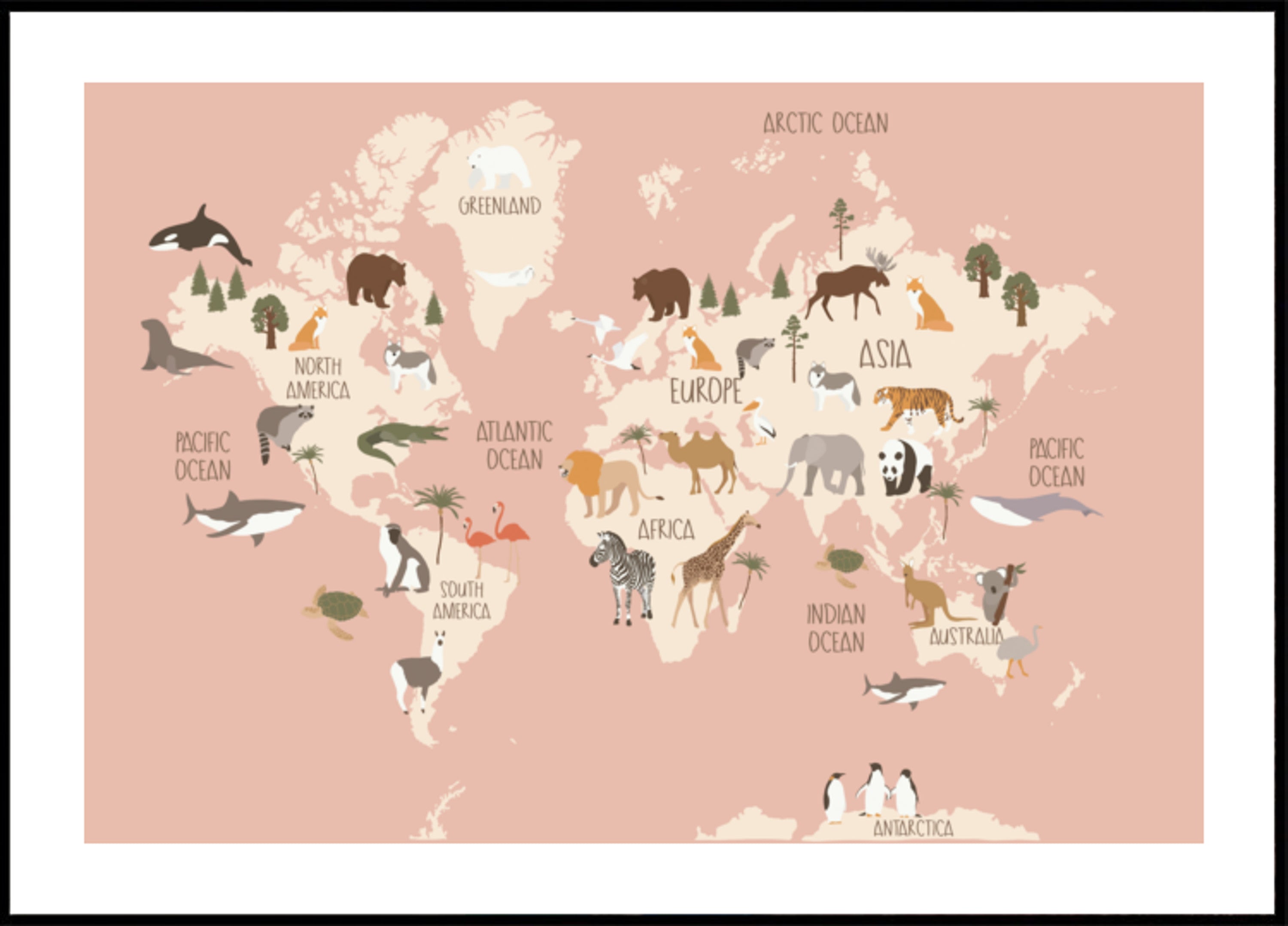 Global Wildlife Guide