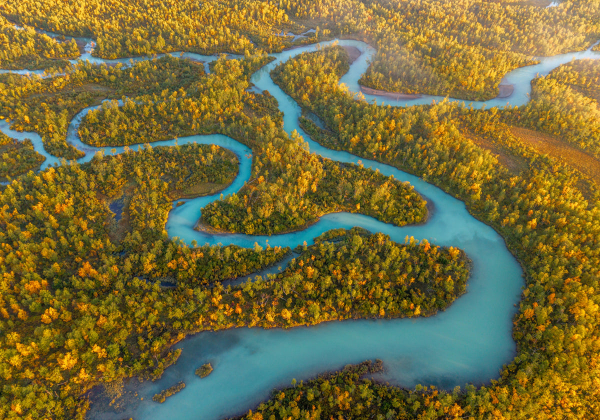 Winding River Hierscht Forest