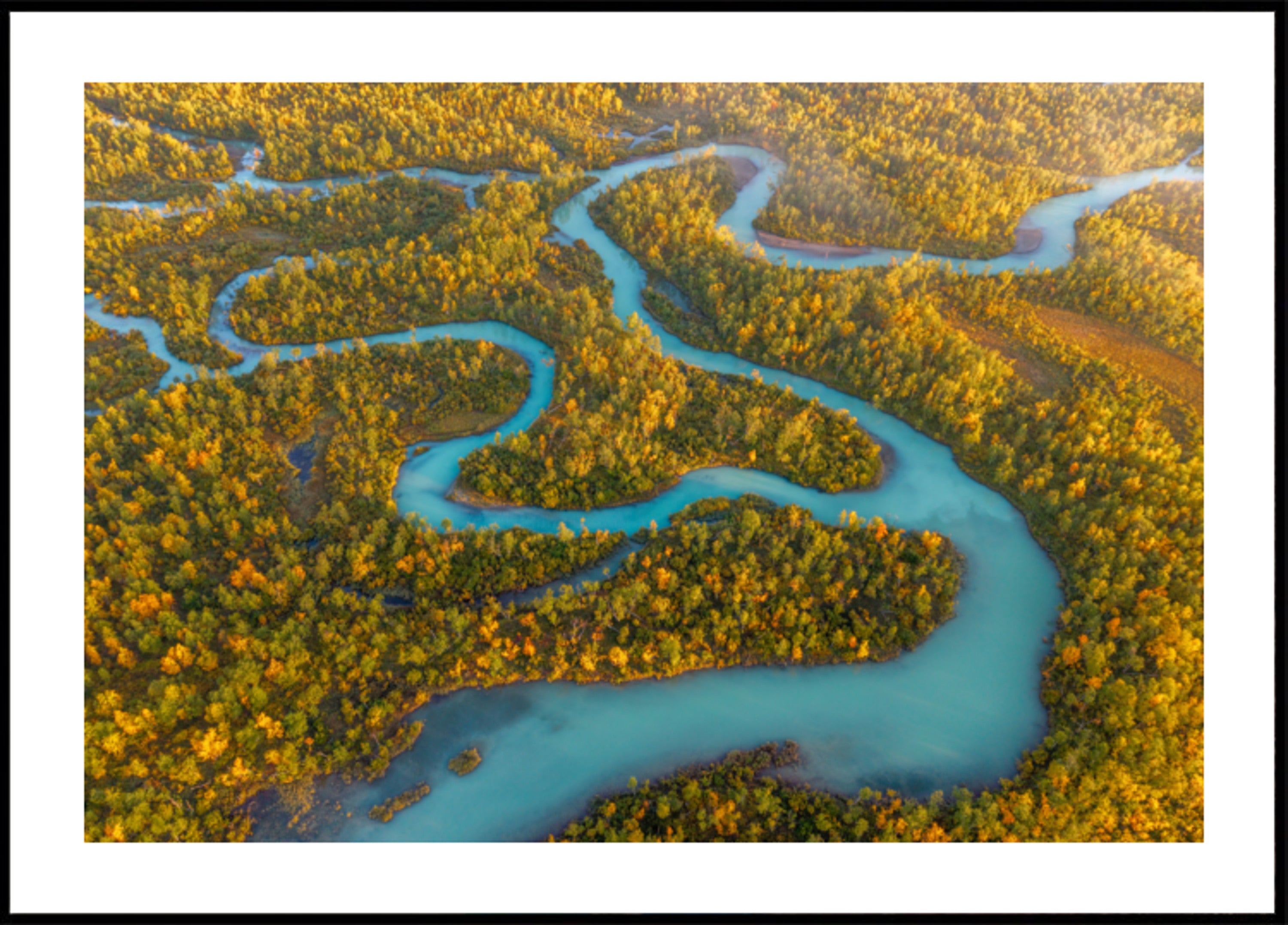 Winding River Hierscht Forest