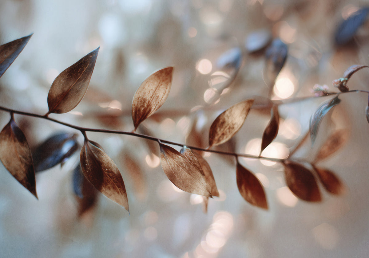 Subtilūs Bokeh lapai